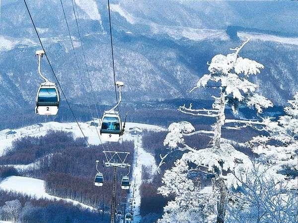 Shiobara Onsen Yama No Yado Shimofujiya Hotel Nasushiobara Bagian luar foto