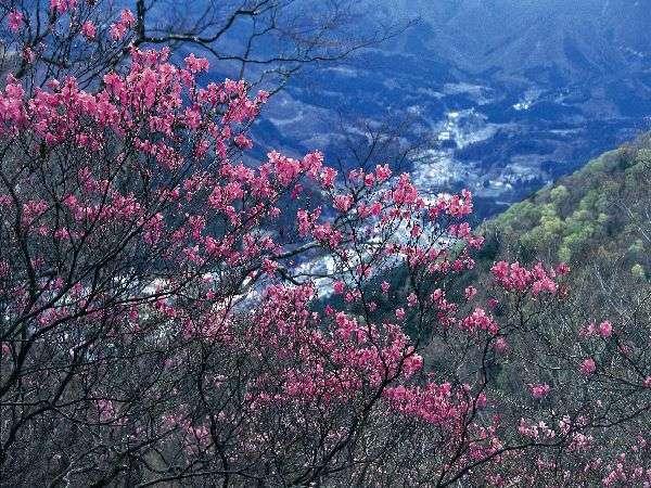 Shiobara Onsen Yama No Yado Shimofujiya Hotel Nasushiobara Bagian luar foto